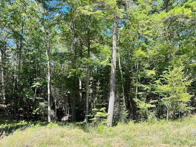 TBD Hemlock Views Trail, Manistique MI, 49854 land for sale