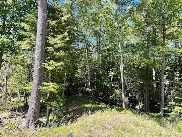 Listing photo 2 for TBD Hemlock Views Trail, Manistique MI 49854