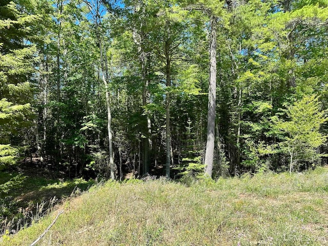 Listing photo 3 for TBD Hemlock Views Trail, Manistique MI 49854