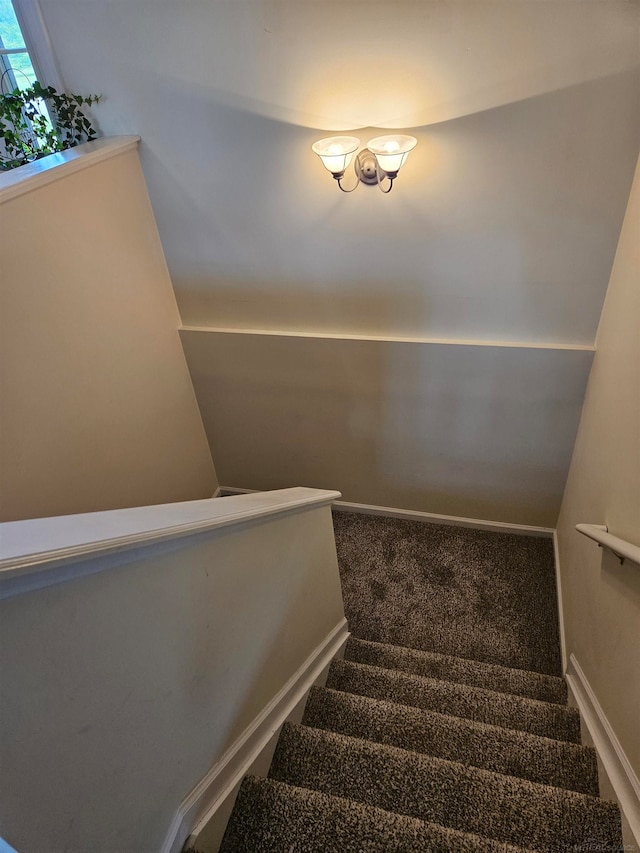 staircase with carpet floors