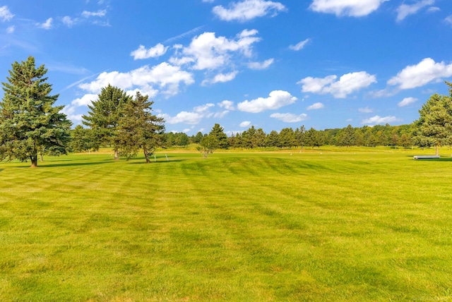 view of community with a yard