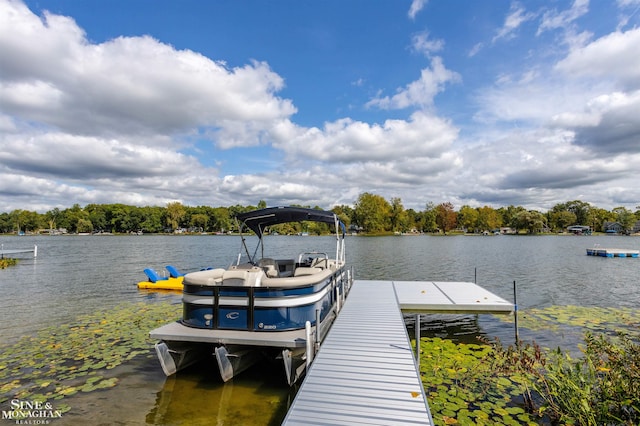 dock area with a water view