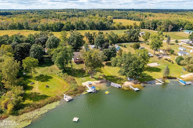 2771 Hemlock Rd, Quincy, MI 49082 - bird's eye view of a large body of water and a forest
