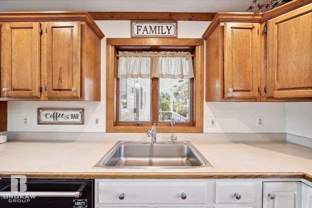 kitchen featuring dishwashing machine and sink