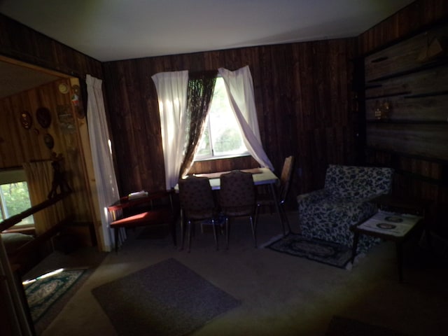 living area featuring wood walls