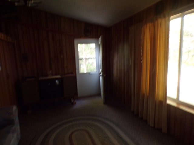 living room with wood walls