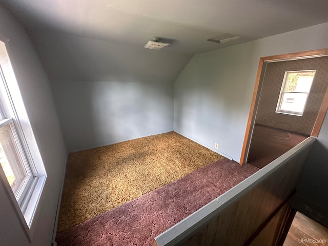 bonus room with carpet flooring and lofted ceiling