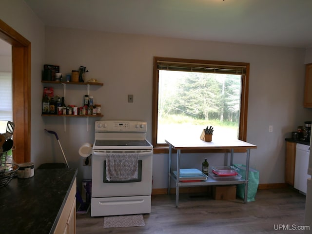 kitchen with electric stove and hardwood / wood-style flooring