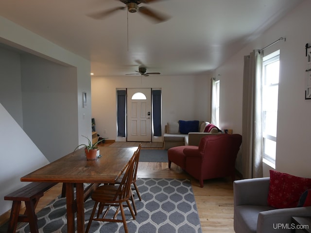 dining space with light hardwood / wood-style floors and ceiling fan