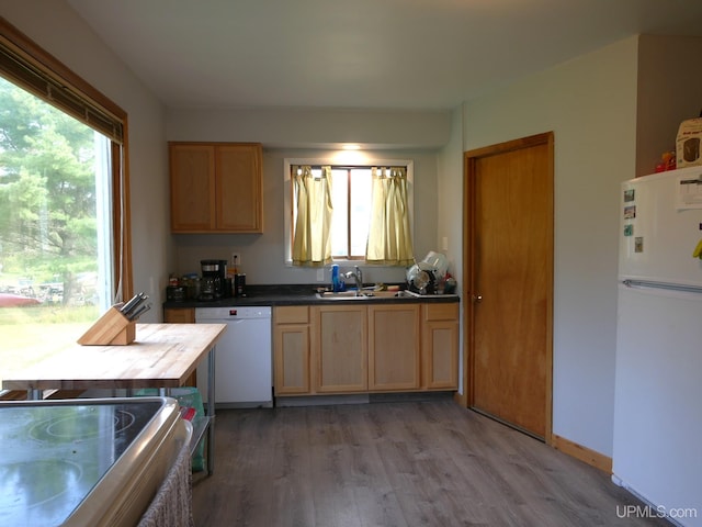 kitchen featuring wood-type flooring, white appliances, and sink