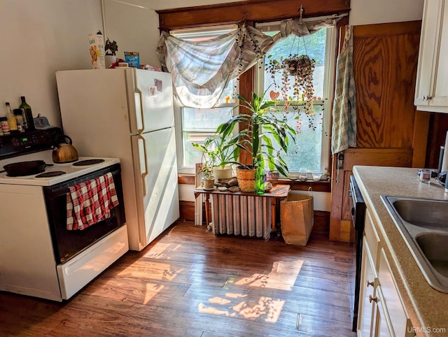 kitchen with dark hardwood / wood-style floors, sink, electric stove, white cabinetry, and radiator