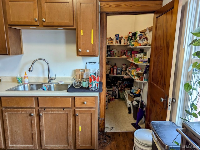 kitchen with dark hardwood / wood-style floors and sink