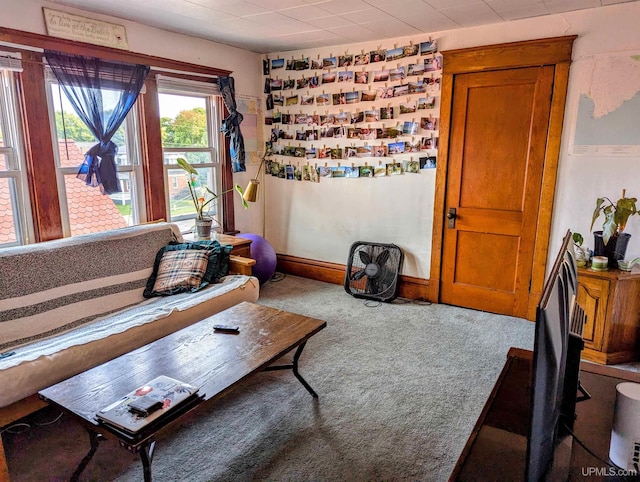 living room featuring carpet floors