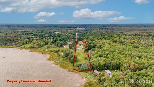 aerial view with a forest view