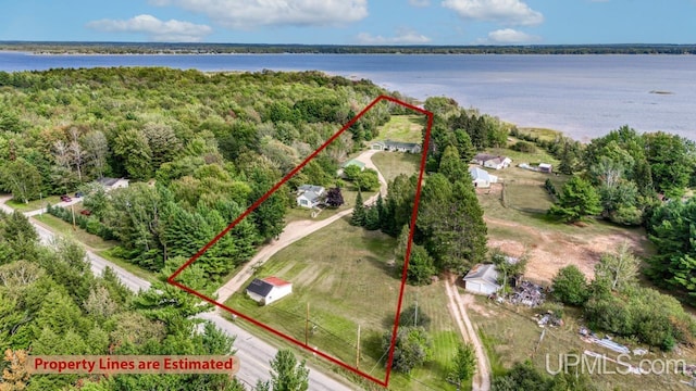 bird's eye view with a water view and a wooded view