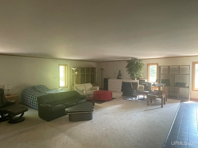 view of carpeted living room