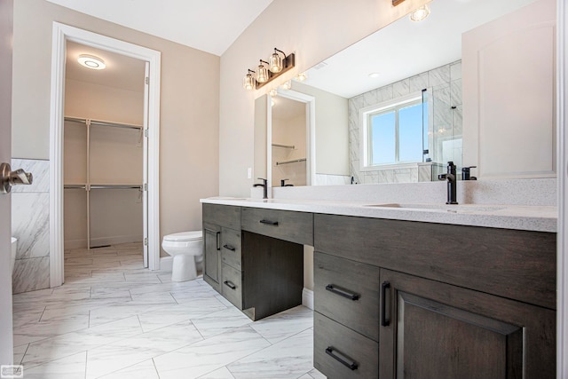 bathroom with a shower, vanity, and toilet