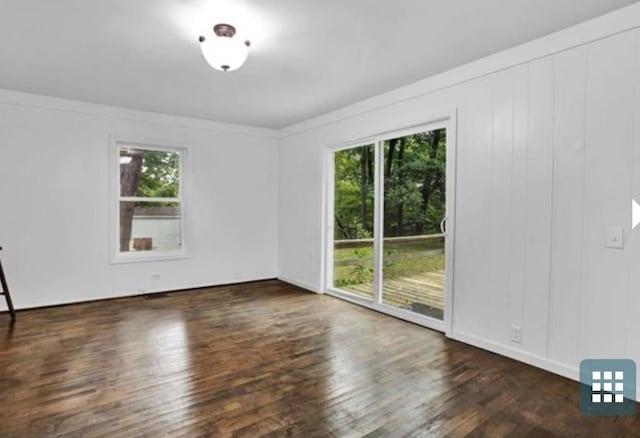 spare room with ornamental molding, dark wood-type flooring, and a wealth of natural light