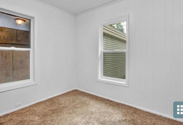 carpeted spare room featuring ornamental molding