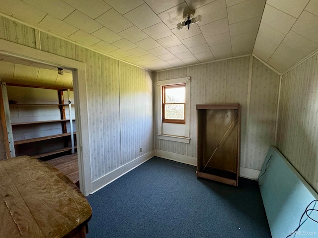 additional living space featuring dark colored carpet and lofted ceiling