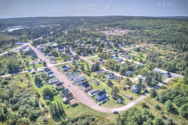 52 Senter St, Ahmeek, MI 49901 - aerial view of property's location with a heavily wooded area