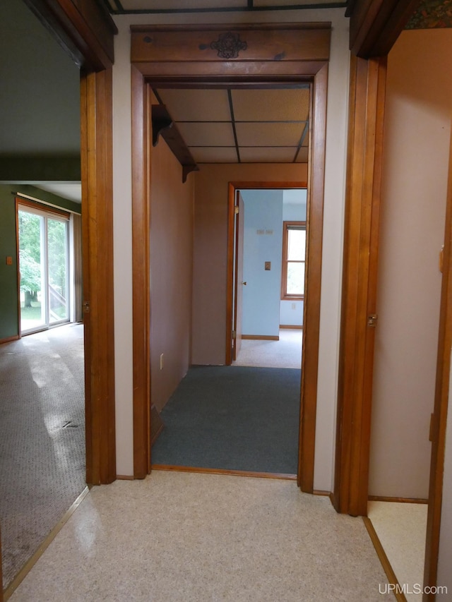 corridor featuring light carpet and a paneled ceiling