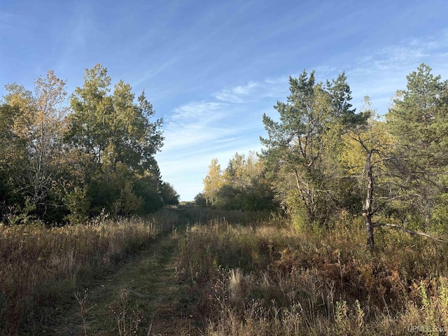 TBDON N Star Rd, Ironwood, MI 49938