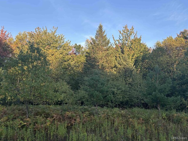 TBDON N Star Rd, Ironwood, MI 49938