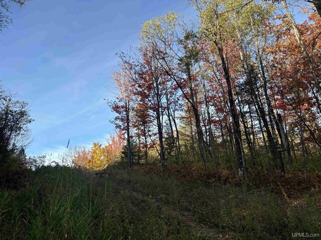 TBDON N Star Rd, Ironwood, MI 49938