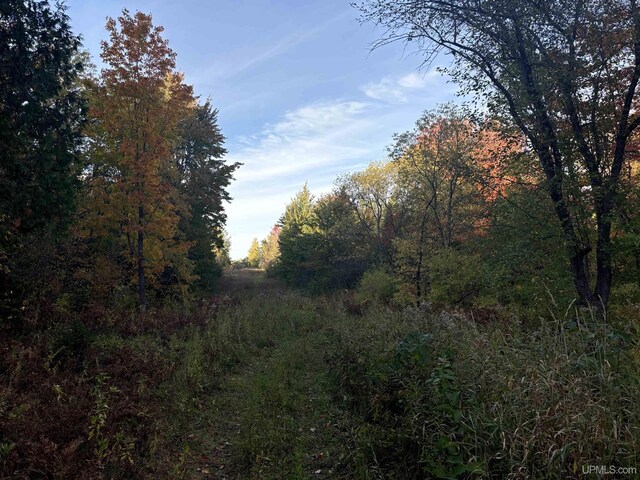 TBDON N Star Rd, Ironwood, MI 49938