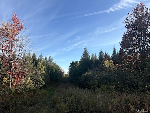 TBDON N Star Rd, Ironwood, MI 49938