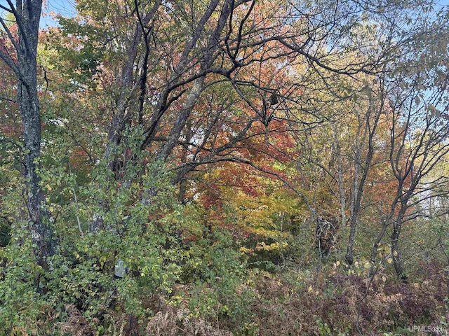 TBDON N Star Rd, Ironwood, MI 49938