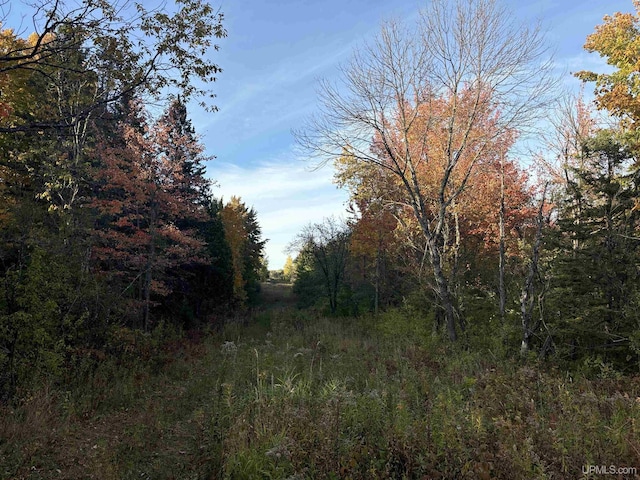 TBDON N Star Rd, Ironwood, MI 49938
