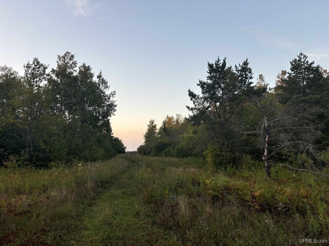 TBDON N Star Rd, Ironwood, MI 49938