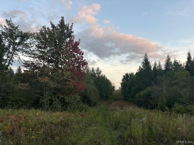 TBDON N Star Rd, Ironwood, MI 49938