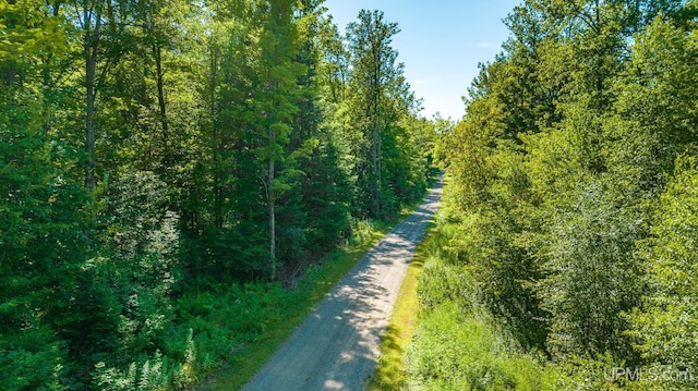 TBD Dream Lake Roads, Tipler-Wi WI, 54542 land for sale