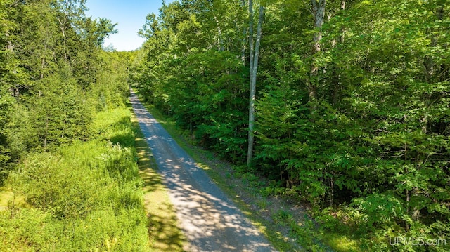 Listing photo 2 for TBD Dream Lake Roads, Tipler-Wi WI 54542