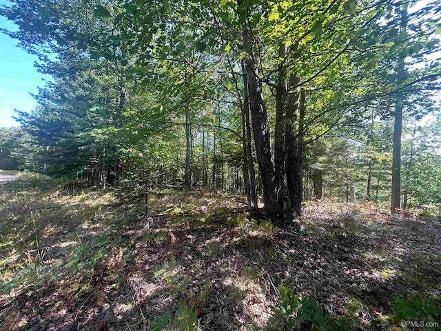 Listing photo 2 for TBD Mcclure Dam Road, Negaunee MI 49866