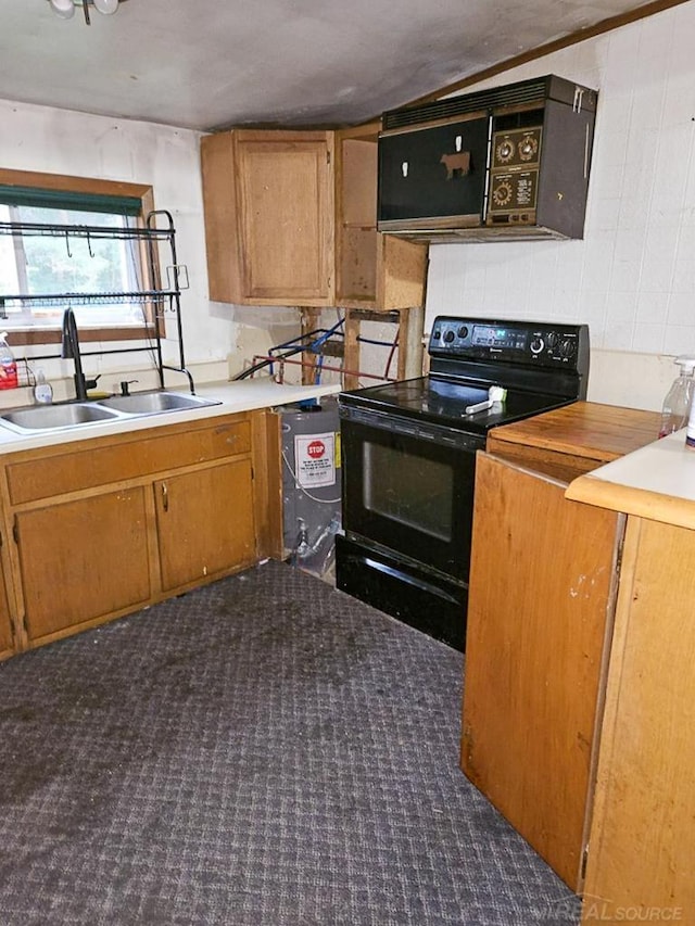 kitchen with black appliances and sink