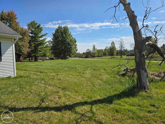 view of yard