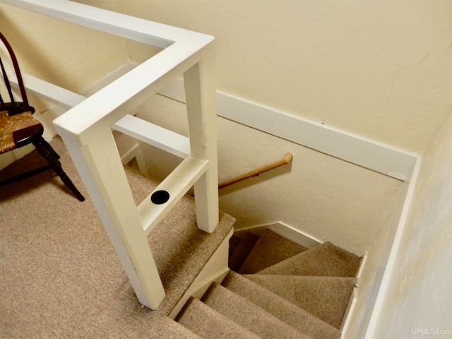 staircase with carpet flooring