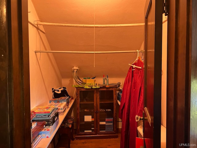 spacious closet featuring wood-type flooring