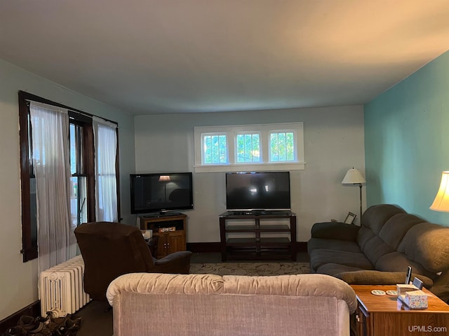 living room featuring radiator heating unit