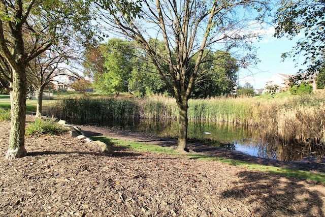 view of yard featuring a water view