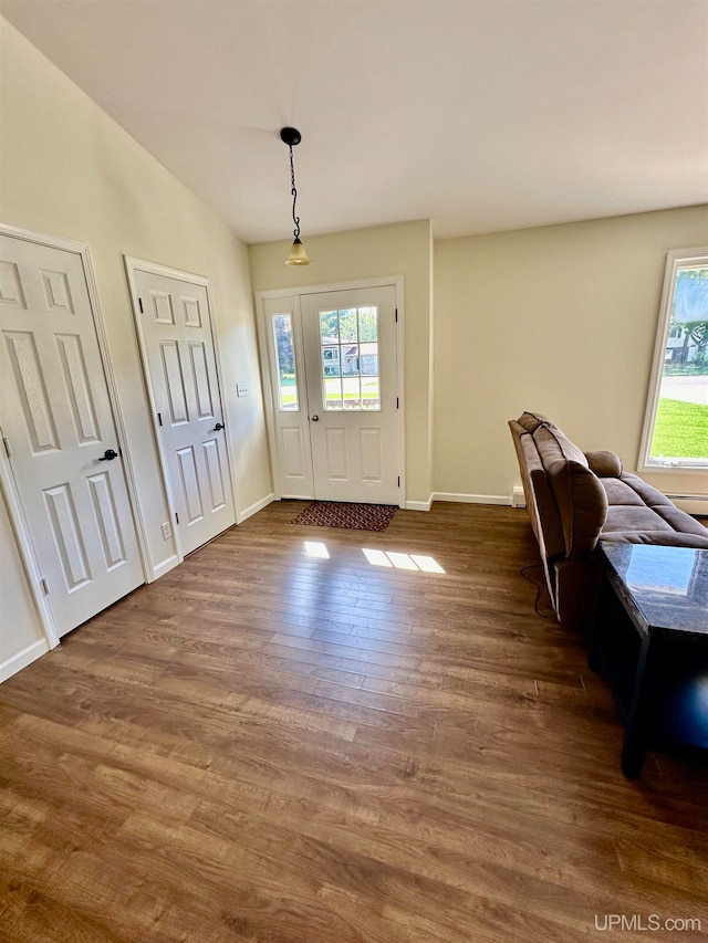 entryway with lofted ceiling, dark hardwood / wood-style floors, and plenty of natural light