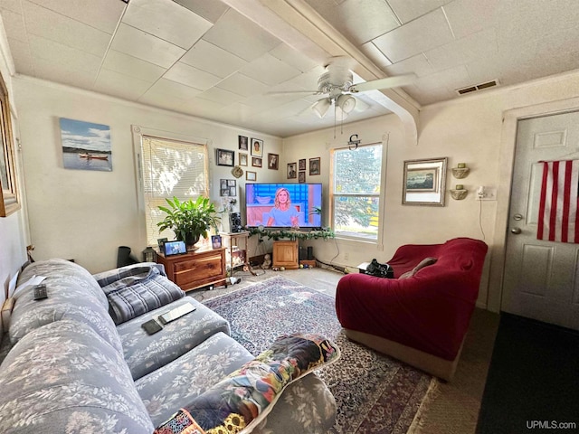 living room featuring ceiling fan, beamed ceiling, and carpet floors