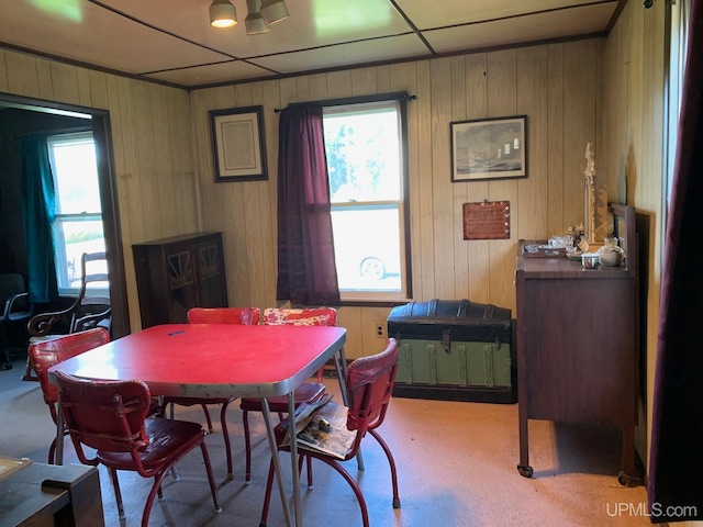 dining room featuring wooden walls