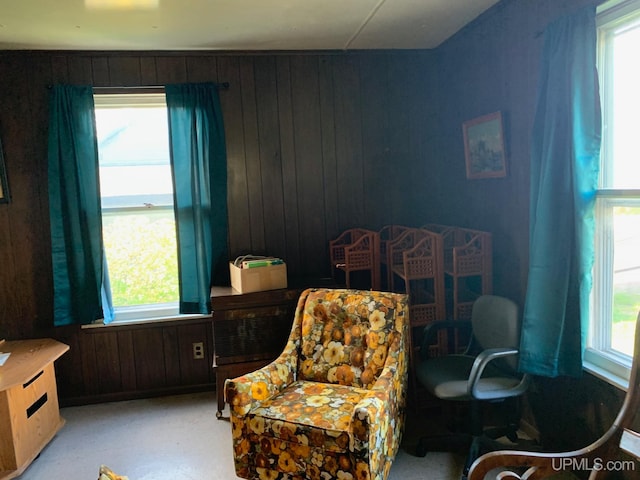 living area featuring wood walls and a healthy amount of sunlight