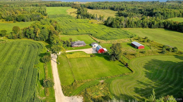 drone / aerial view featuring a rural view