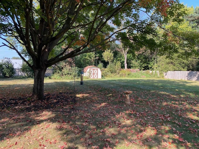 view of yard with a shed